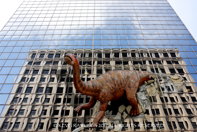 Kevin Rawlings Photography